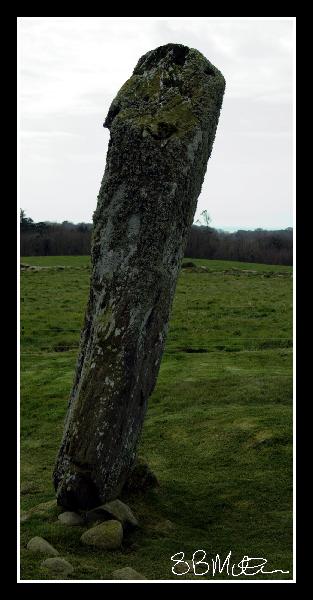 Standing Stones: Photograph by Steve Milner